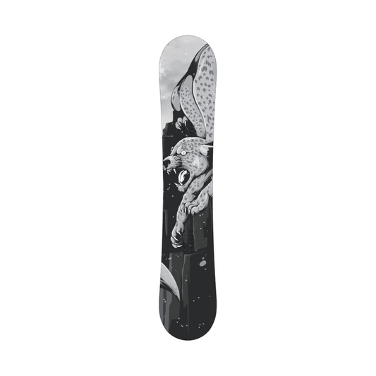 Apex Collection Round snowboard — front view